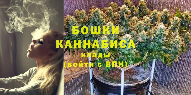 МЕГА tor  закладки  Моздок  Каннабис White Widow 